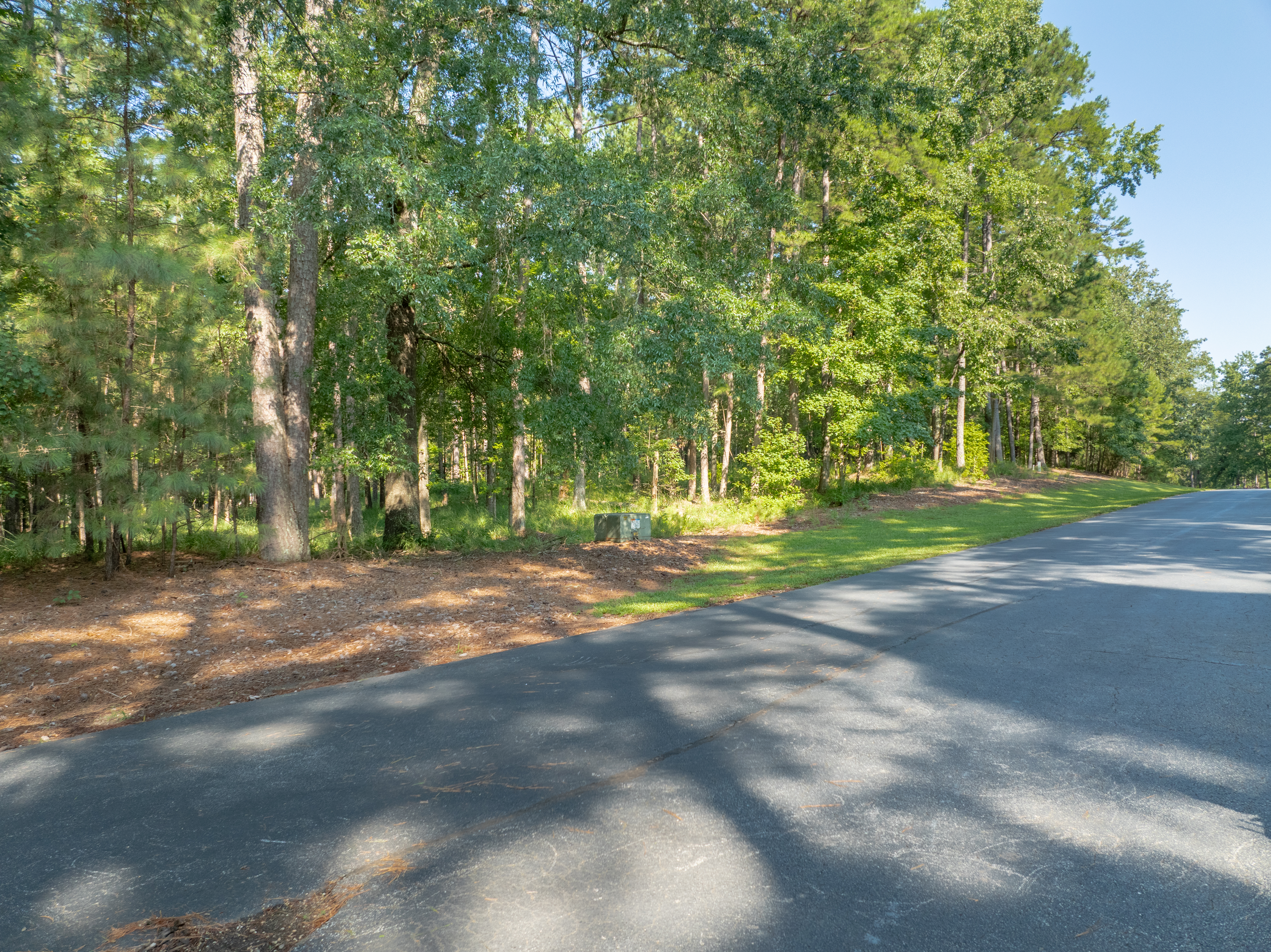 1010 Wrayswood Circle image 4